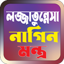 APK লজ্জাতুন্নেসা নাগিন মন্ত্র