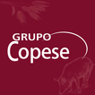 Grupo Copese アイコン