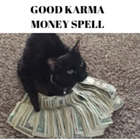 GOOD KARMA MONEY SPELL-icoon