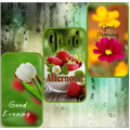 good morning-afternoon-evening