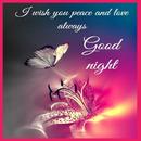 APK Good Night Blessings wallpaper