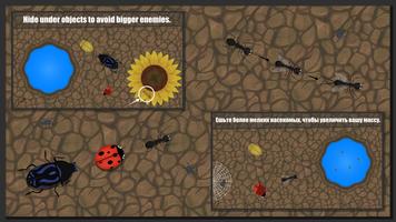Ant Evolution poster