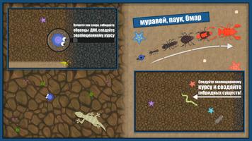 ЭВОЛЮЦИЯ СУЩЕСТВ /  споры постер