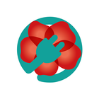 GoClico icon