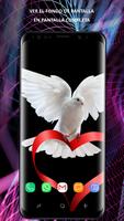 Fondos de Birds para teléfono captura de pantalla 1