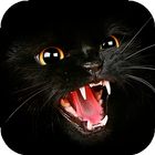 Black Cat Wallpaper Full HD icône
