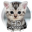 Cute animals wallpapers
