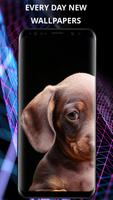 Cute animals poster