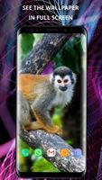 Cute animals screenshot 1