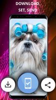 Cute animals screenshot 2