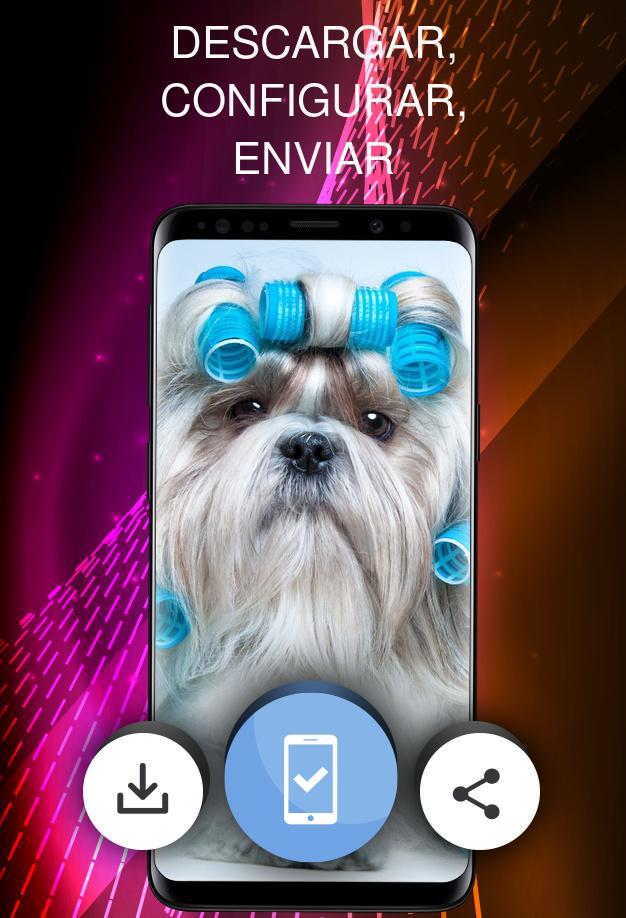 Animales Bonitos For Android Apk Download