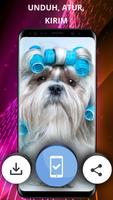 Wallpaper binatang lucu screenshot 2