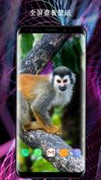 背景中可愛的動物 截图 1
