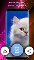 Katzen Wallpaper 4k Screenshot 2