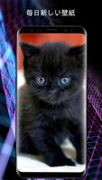 電話用の猫の壁紙 ポスター
