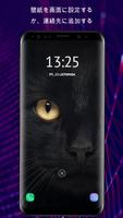 電話用の猫の壁紙 スクリーンショット 3