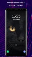 Cats wallpapers for phone ภาพหน้าจอ 3
