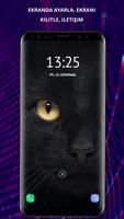 Cats duvar kağıtları 4k Ekran Görüntüsü 3