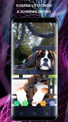download Sfondi per cani per telefono APK