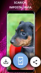 download Sfondi per cani per telefono APK