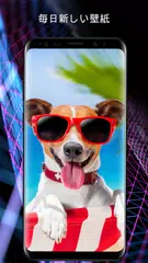 電話用の犬の壁紙 アプリダウンロード