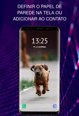 Baixar Papéis com um cachorro APK