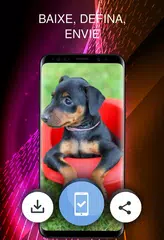 Baixar Papéis com um cachorro APK