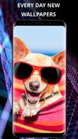 Funny wallpapers poster