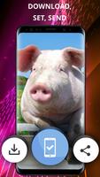 Funny wallpapers screenshot 2