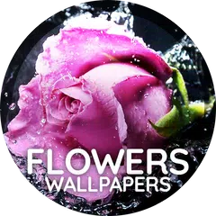 電話用の花の壁紙 アプリダウンロード