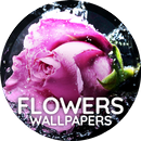 Bloemen behang voor telefoon-APK