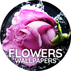 Flowers wallpaper for phone icon