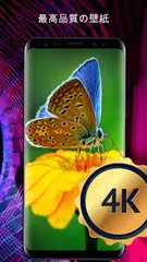 電話用の花の壁紙 アプリダウンロード