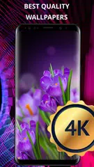 Flowers wallpaper for phone APK download