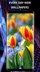 Flowers wallpaper for phone APK download