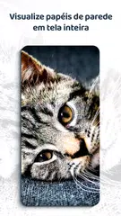 Baixar Papéis de parede bonitos 4k APK