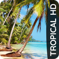 ”Tropical phone wallpapers