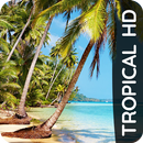 Tropical phone wallpapers APK