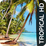 Fonds d'écran tropicaux icône
