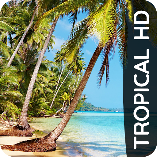Fondos tropicales 4K