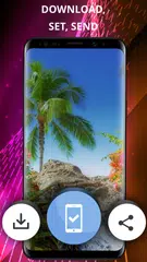 Tropical phone wallpapers APK download
