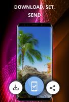 Tropical phone wallpapers screenshot 2
