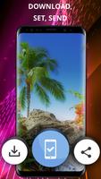 Tropical phone wallpapers screenshot 2