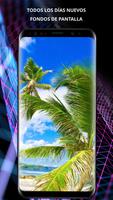 Fondos tropicales 4K Poster