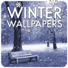 Winter wallpapers icon