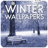 Winter wallpapers آئیکن