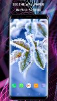 Winter wallpapers اسکرین شاٹ 1