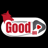 GoodX L15