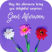 Good Afternoon Wishes icon