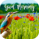 good morning nature آئیکن